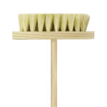 CEPILLO DE IXTLE CON CABO CIC