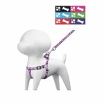 CORREA PARA PERRO CON PECHERA, 1.5 CM ANCHO 44295