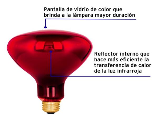 LÁMPARA INCANDESCENTE DE CALOR, BR40 270 WATTS, ROJO 48324 - Image 4