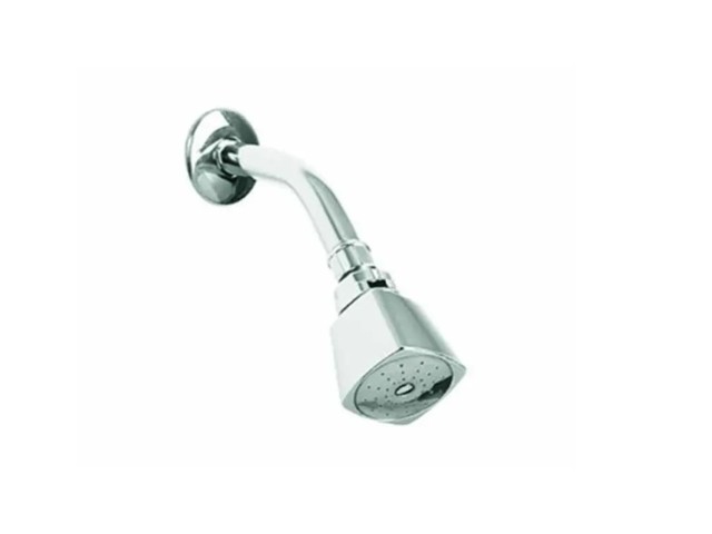 REGADERA CON BRAZO DE HIERRO Y CHAPETON A.I. CROMO 3001-B   3001B