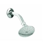 REGADERA CON BRAZO DE HIERRO Y CHAPETON A.I. CROMO F-3002-B    3002B